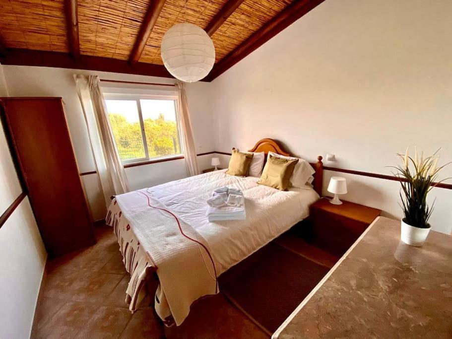 Palma'S Place Casanova Villa #Wifi#Heatedpool#Relax Faro Ngoại thất bức ảnh